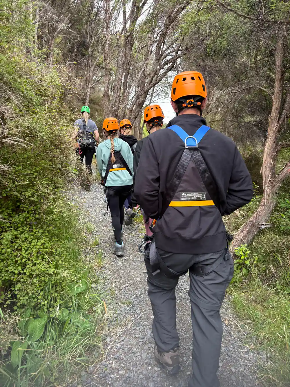 The group following the track through the bush