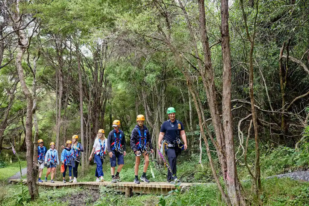 A group walking the boardwalk through the bush