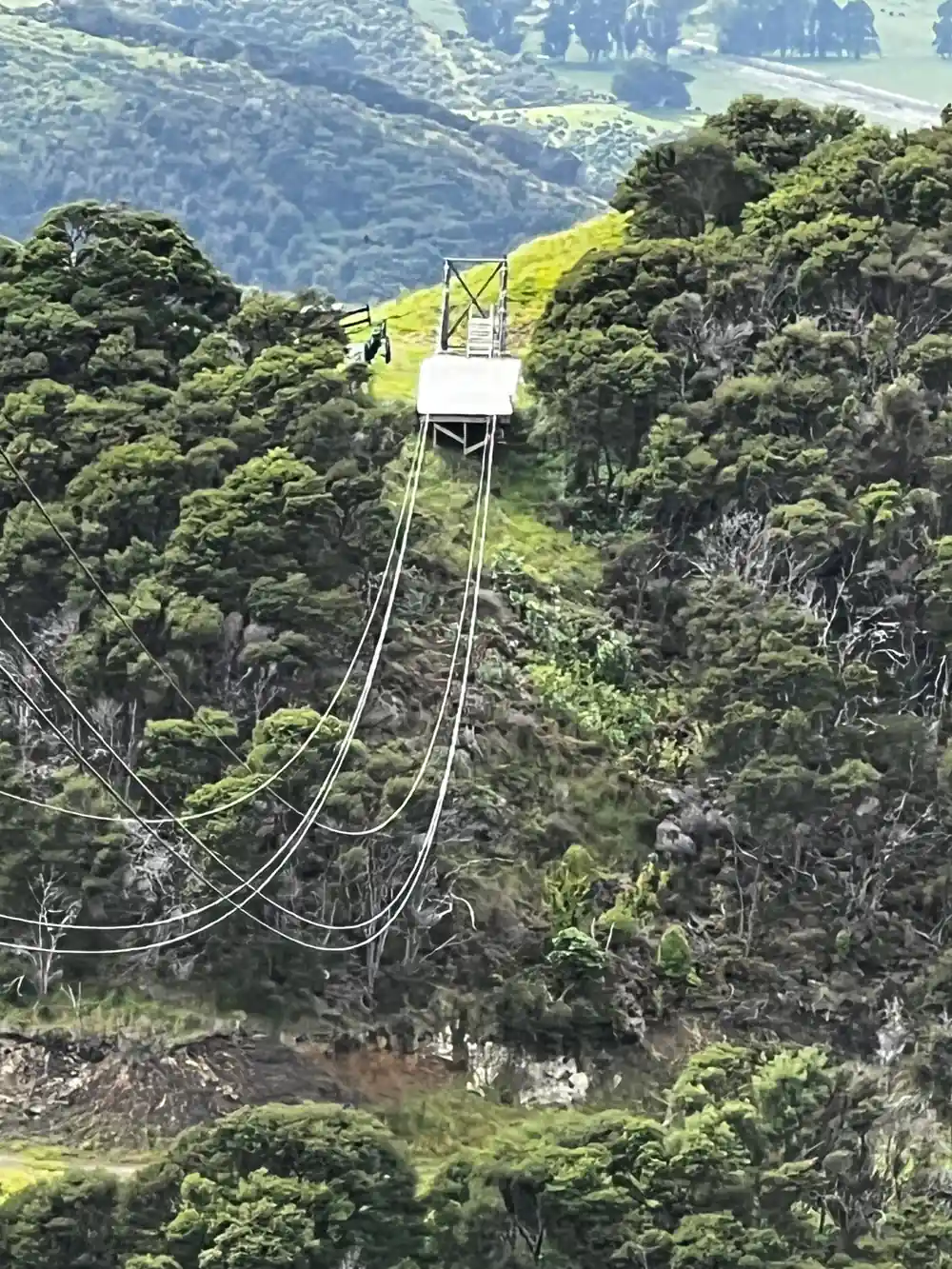 A long line sagging right across the gully