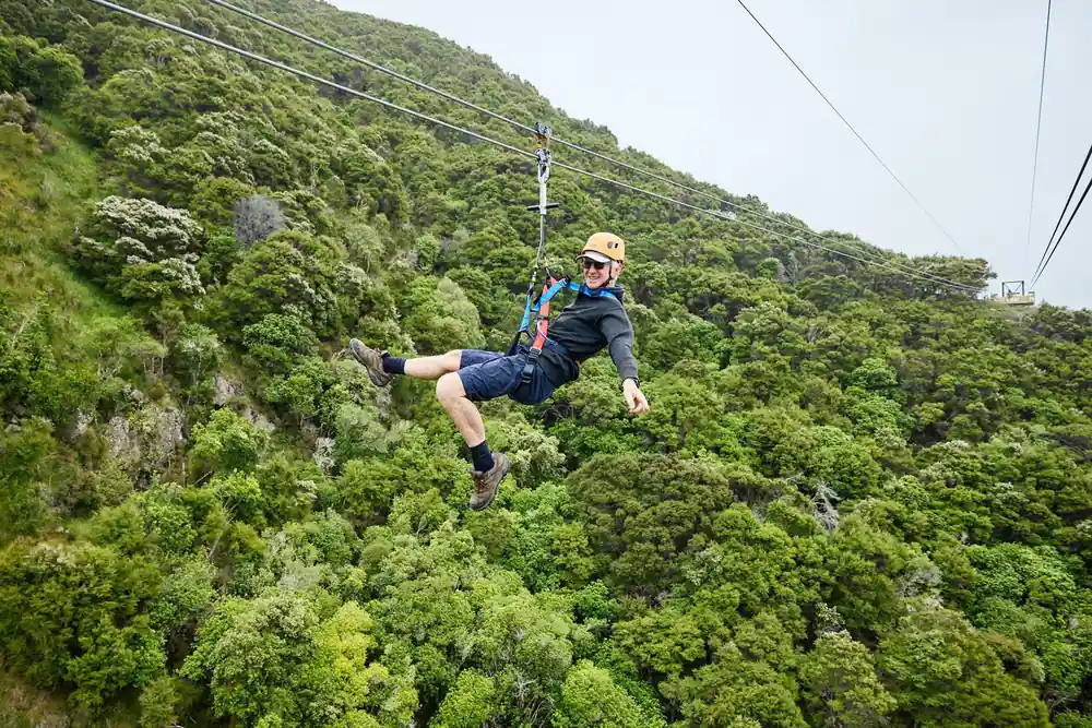 A rider crossing above the native bush